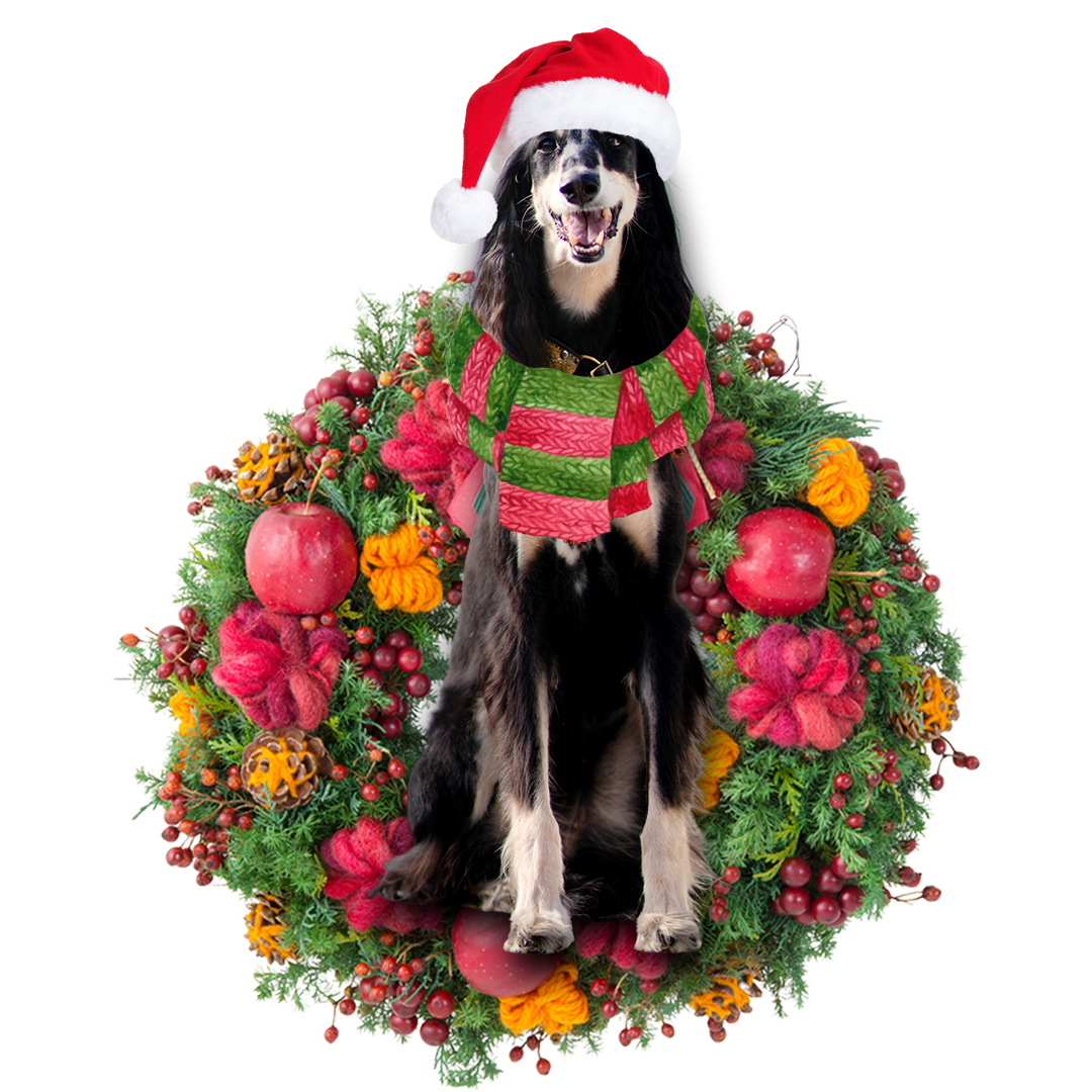 Ornament- Saluki Christmas Ornament, Happy Christmas Ornament, Car Ornament - Best gifts your whole family