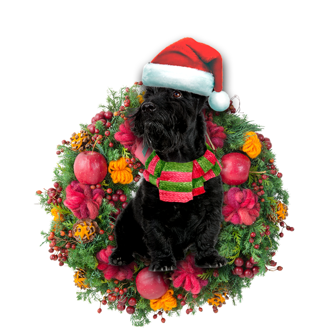 Ornament- Scottish Terrier Christmas Ornament, Happy Christmas Ornament, Car Ornament - Best gifts your whole family