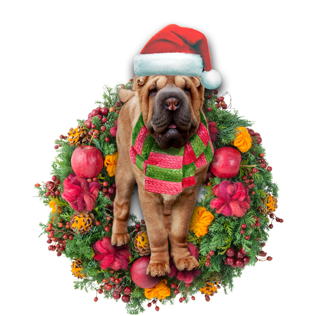 Ornament- Shar Pei Christmas Ornament, Happy Christmas Ornament, Car Ornament - Best gifts your whole family