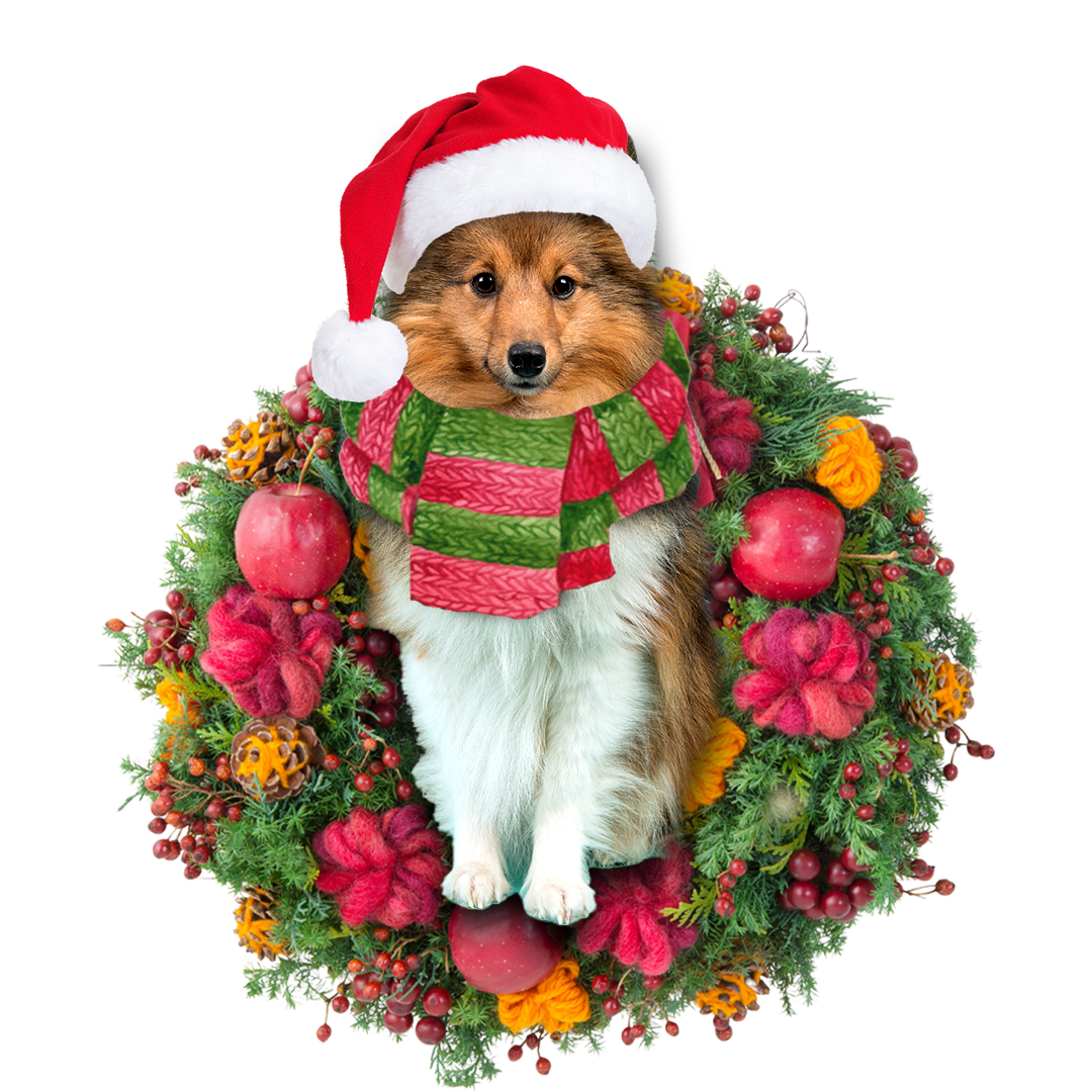 Ornament- Sheltie Christmas Ornament, Happy Christmas Ornament, Car Ornament - Best gifts your whole family