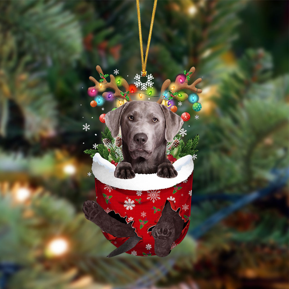 Ornament- SILVER Labrador-In Christmas Pocket Two Sides Ornament, Happy Christmas Ornament, Car Ornament - Best gifts your whole family