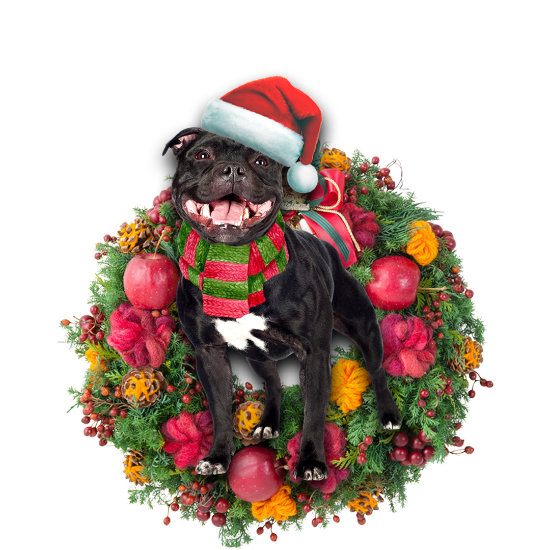Ornament- Staffordshire Bull Terrier Christmas Ornament, Happy Christmas Ornament, Car Ornament - Best gifts your whole family
