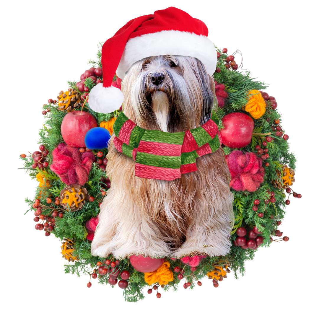 Ornament- Tibetan Terrier Christmas Ornament, Happy Christmas Ornament, Car Ornament - Best gifts your whole family