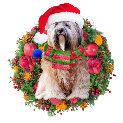 Ornament- Tibetan Terrier Christmas Ornament, Happy Christmas Ornament, Car Ornament - Best gifts your whole family