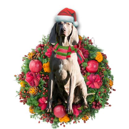Ornament- Weimaraner Christmas Ornament, Happy Christmas Ornament, Car Ornament - Best gifts your whole family
