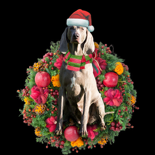 Ornament- Weimaraner Christmas Ornament, Happy Christmas Ornament, Car Ornament - Best gifts your whole family