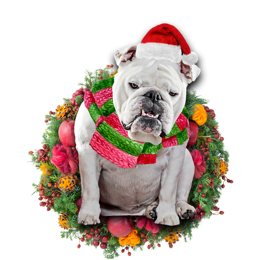 Ornament- White Bulldog Christmas Ornament, Happy Christmas Ornament, Car Ornament - Best gifts your whole family