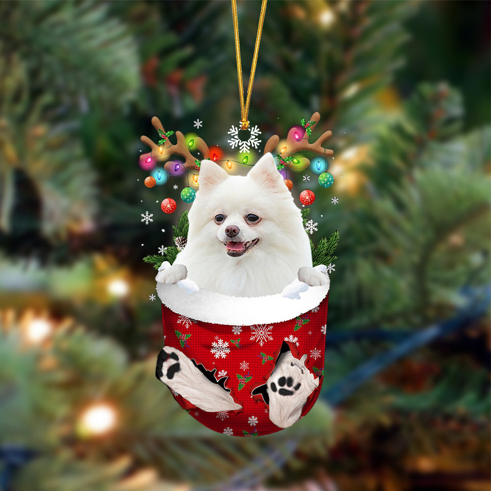 Ornament- WHITE Pomeranian-In Christmas Pocket Two Sides Ornament, Happy Christmas Ornament, Car Ornament - Best gifts your whole family