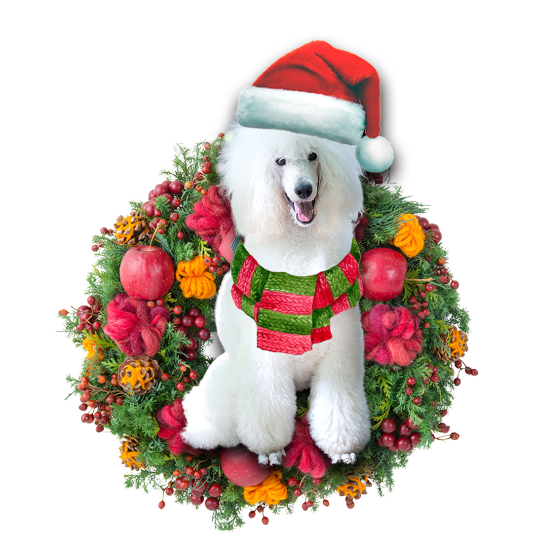 Ornament- White Poodle Christmas Ornament, Happy Christmas Ornament, Car Ornament - Best gifts your whole family