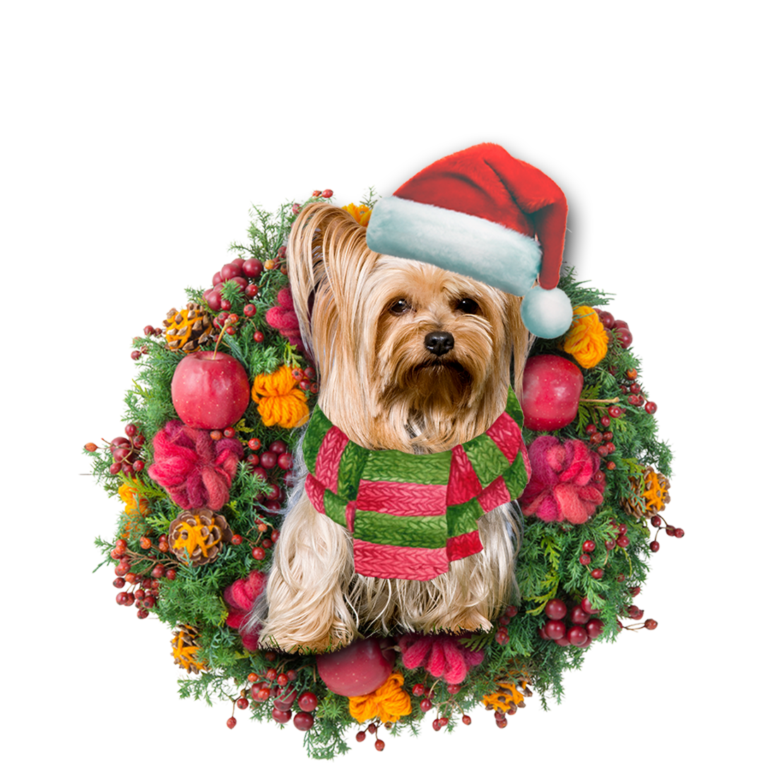 Ornament- Yorkshire Christmas Ornament, Happy Christmas Ornament, Car Ornament - Best gifts your whole family
