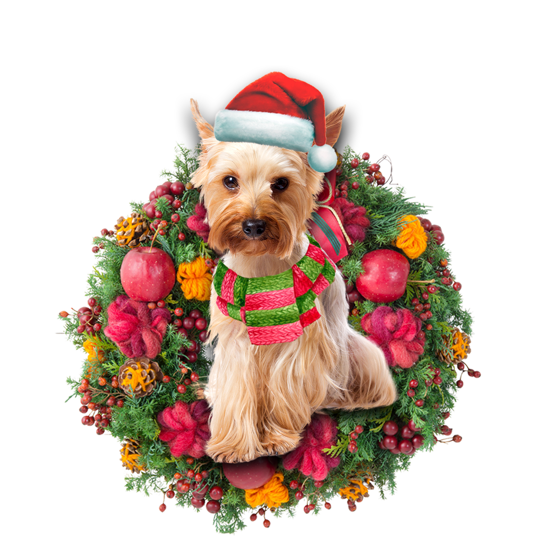 Ornament- Yorkshire Terrier Christmas Ornament, Happy Christmas Ornament, Car Ornament - Best gifts your whole family