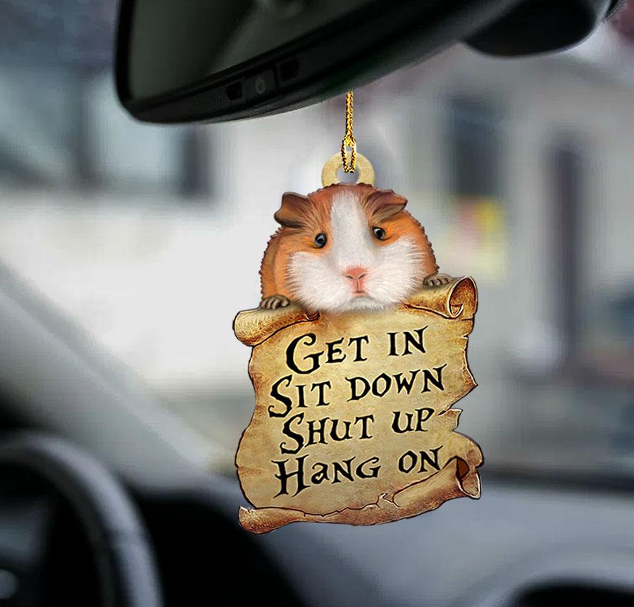 Ornaments- Guinea pig get in guinea pig lover two sided ornament, Dog Ornaments, Car Ornament - Best gifts your whole family