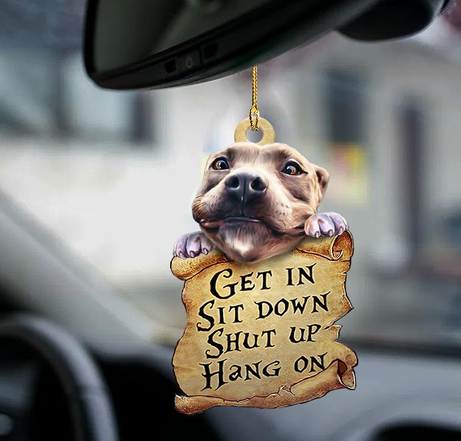Ornaments- Pitbull get in pitbull lover two sided ornament, Dog Ornaments, Car Ornament - Best gifts your whole family