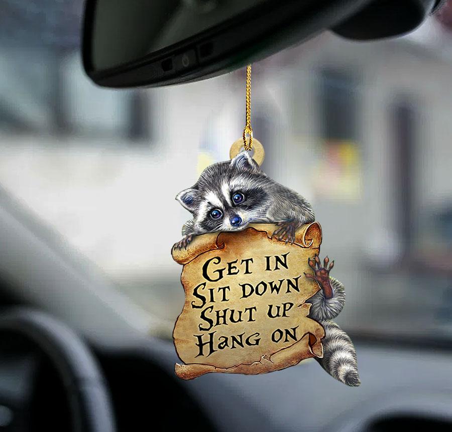 Ornaments- Raccoon get in raccoon lover two sided ornament, Dog Ornaments, Car Ornament - Best gifts your whole family