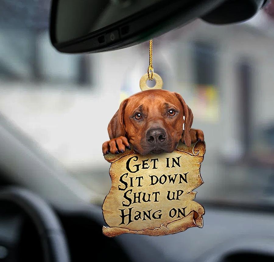 Ornaments- Rhodesian Ridgeback get in dog moms two sided ornament, Dog Ornaments, Car Ornament - Best gifts your whole family