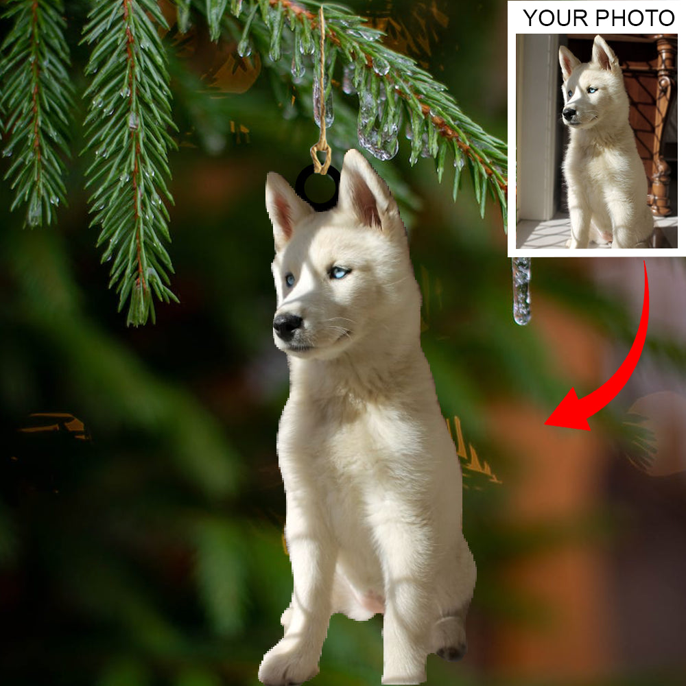 Personalized Gift For Pet Lovers Custom Image Ornament - Best gifts your whole family