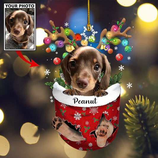 Personalized Gift For Pet Lovers Pet In Pocket Ornament - Best gifts your whole family