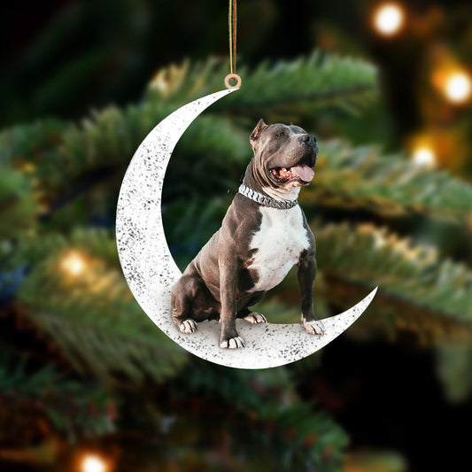 Pitbull 2 Sit On The Moon Two Sided Ornament Dog Hanging Christmas Ornament - Best gifts your whole family