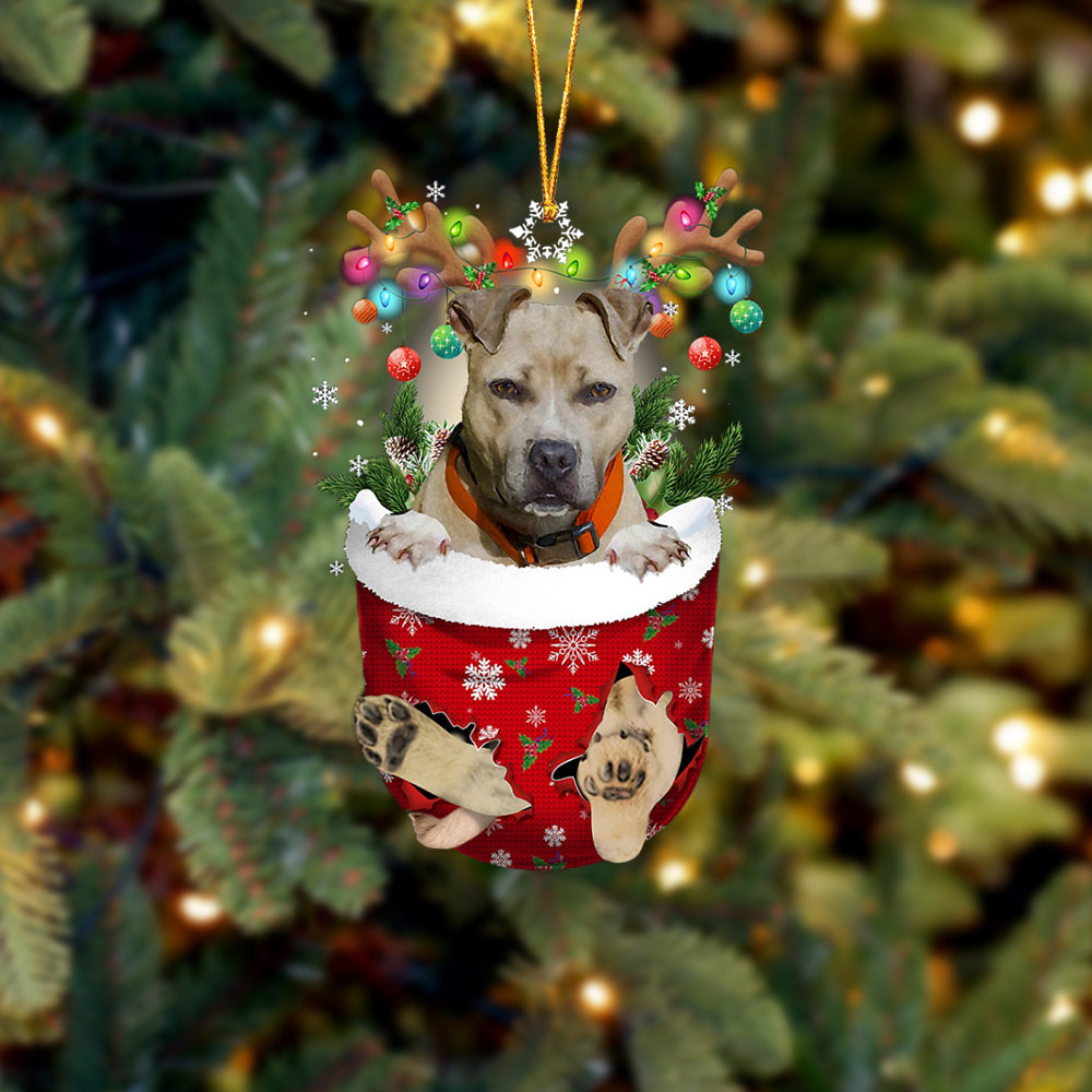 Pitbulll 02 In Snow Pocket Christmas Ornament Flat Acrylic Dog Ornament - Best gifts your whole family