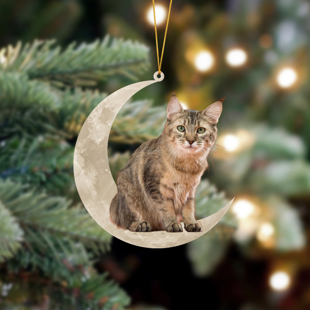 Pixie Bob Cat Sits On The Moon Hanging Ornament Cat Christmas Acrylic Ornament - Best gifts your whole family