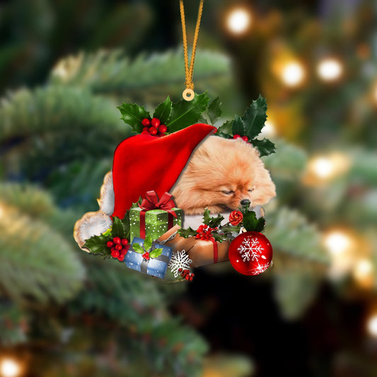 Pomeranian-Sleeping In Hat Two Sides Ornament Dog Sleeping Ornament - Best gifts your whole family