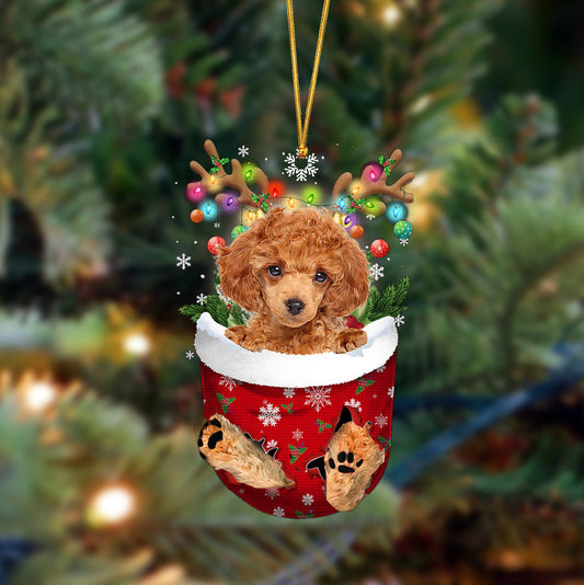Poodle-In Christmas Pocket Two Sides Ornament, Christmas Dog Hanging Ornament - Best gifts your whole family