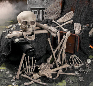 Bag of Skeleton Bones 28 Piece Set Halloween Decor