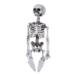 16In Halloween Skeleton Life Size Realistic Human Bones For Party Decoration US