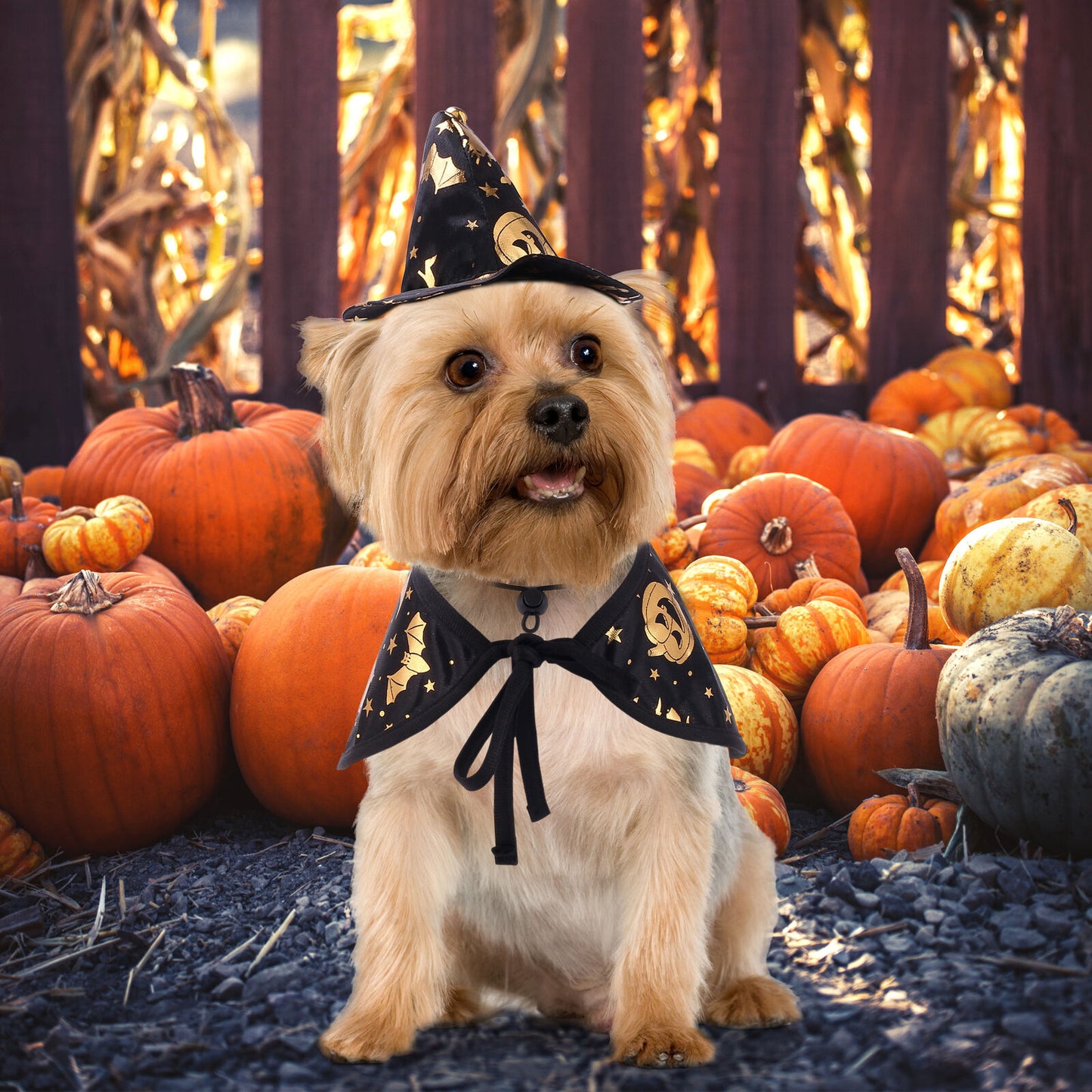 Halloween Witch Wizard Cosplay Dog Cat Costume Fancy Party Pet Cloak With Hat
