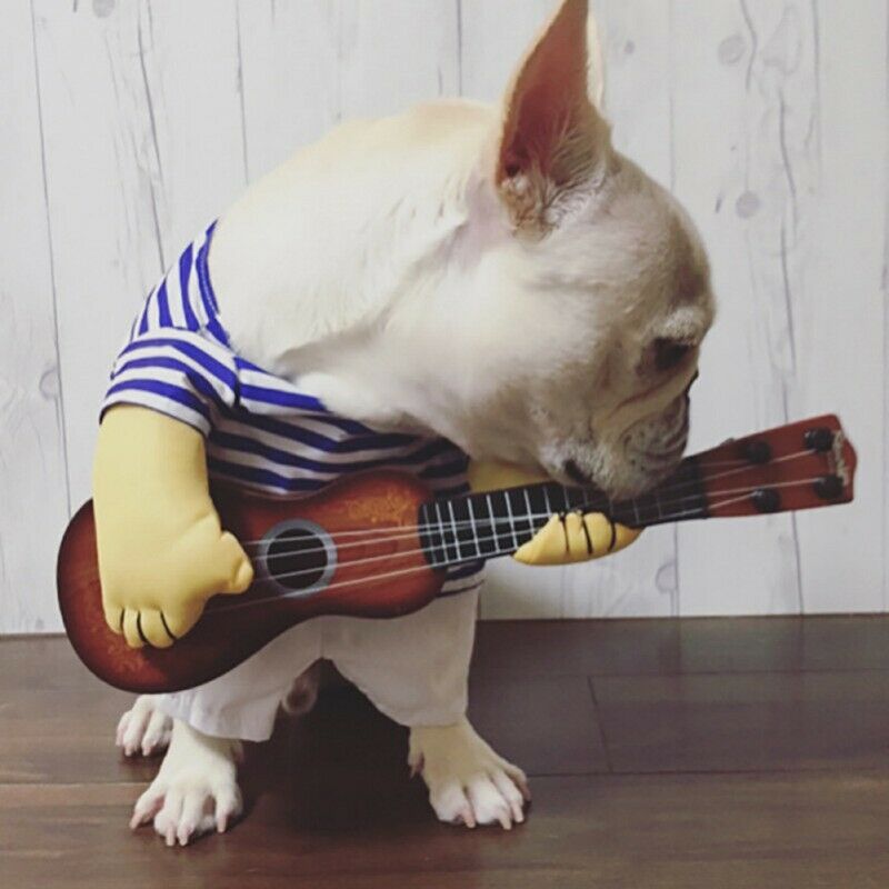 Funny Pet Cosplay Clothes Guitarist Player Suit Dog Puppy Cat Costume Halloween