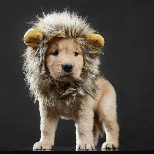 Pet Costume Lion Mane Wig for Cat Dog Halloween Christmas Party Fancy Dress up