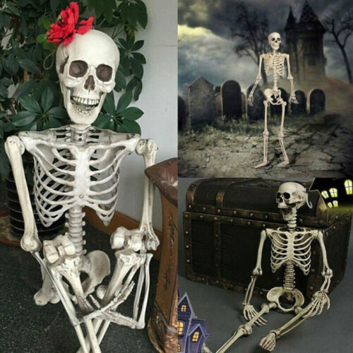 Halloween Human Skeleton Oversized Poseable Decoration Party Prop 40*12cm