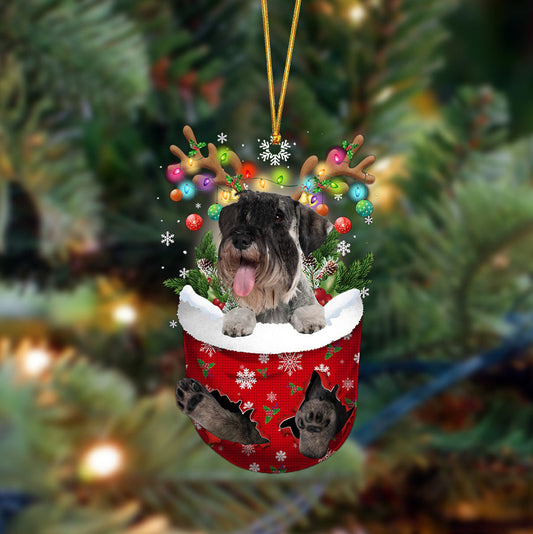 Schnauzer-In Christmas Pocket Two Sides Ornament, Christmas Dog Hanging Ornament - Best gifts your whole family