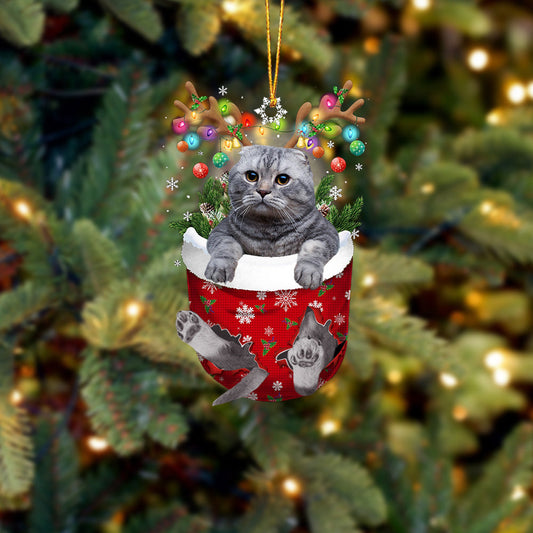 Scottish Fold Cat In Snow Pocket Christmas Ornament - Best gifts your whole family