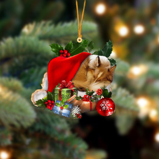 Sheltie-Sleeping In Hat Two Sides Ornament Dog Sleeping Ornament - Best gifts your whole family