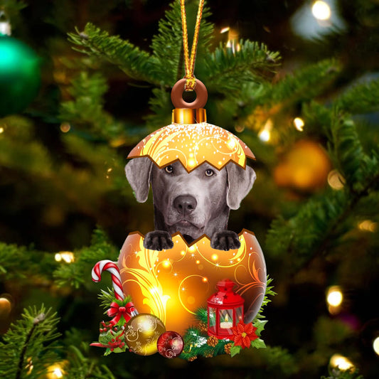 SILVER Labrador In Golden Egg Christmas Ornament - Best gifts your whole family