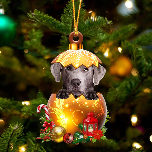SILVER Labrador In Golden Egg Christmas Ornamentb - Best gifts your whole family