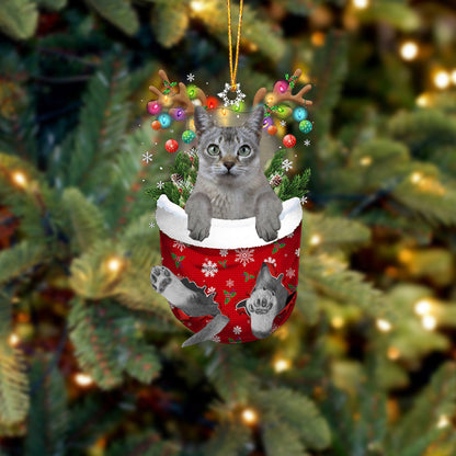 Singapura cat In Snow Pocket Christmas Ornament - Best gifts your whole family