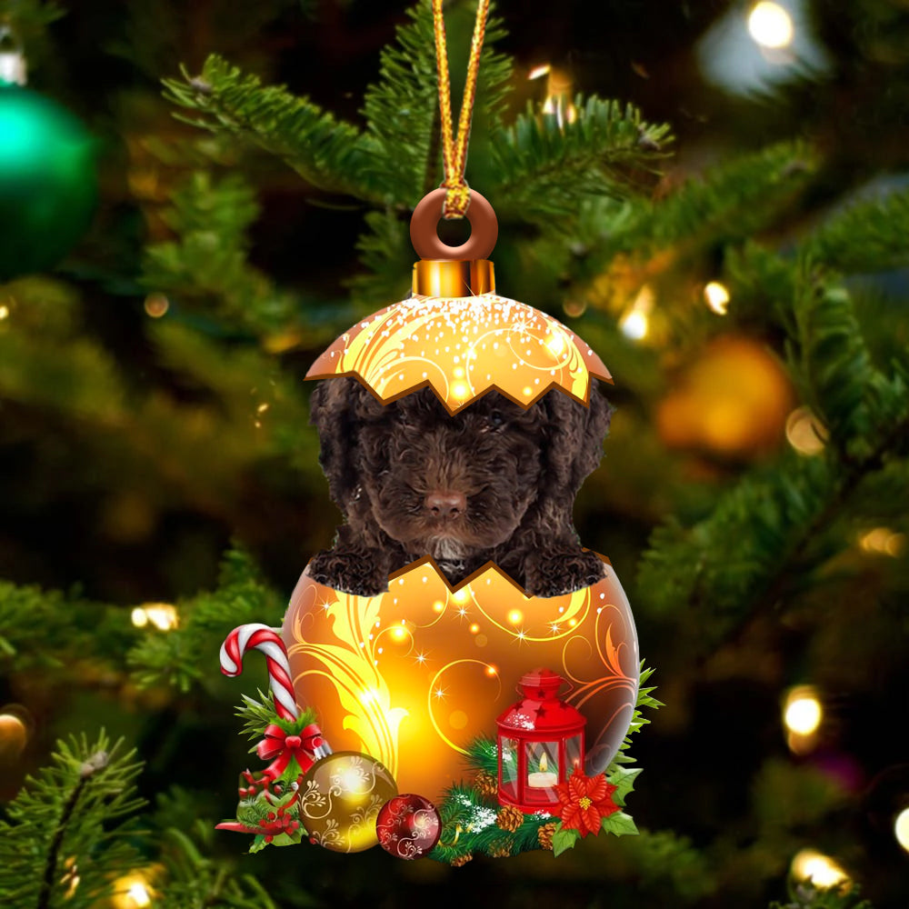 Spanish Water Dog In Golden Egg Christmas Ornament - Best gifts your whole family