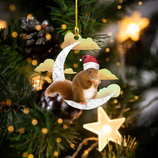 Squirrel Christmas Shaped Ornament DT69-CT-1147 - Best gifts your whole family