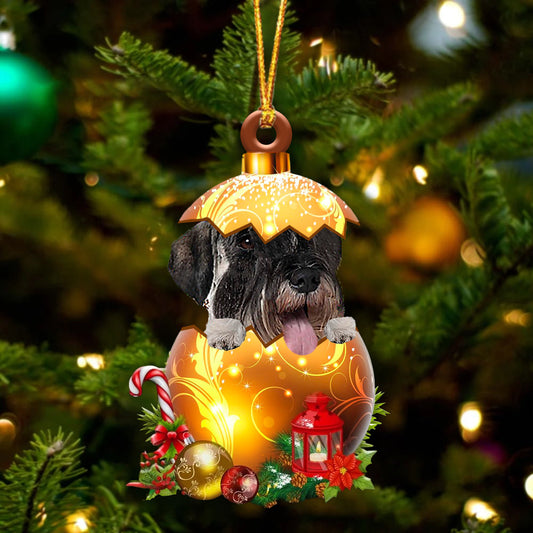 Standard Schnauzer In Golden Egg Christmas Ornament - Best gifts your whole family