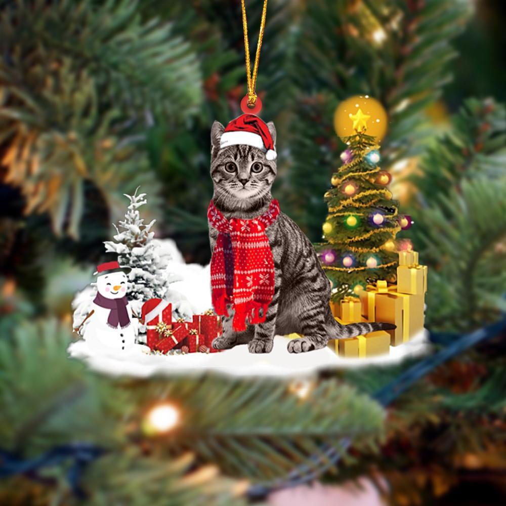 Tabby Cat Christmas Ornament Christmas Tree Hanging Acrylic Ornament Gift - Best gifts your whole family