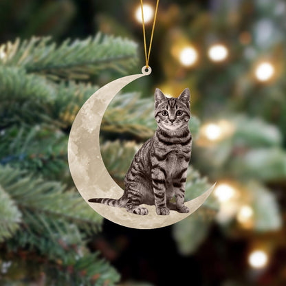 Tabby Cat Sits On The Moon Hanging Ornament - Best gifts your whole family
