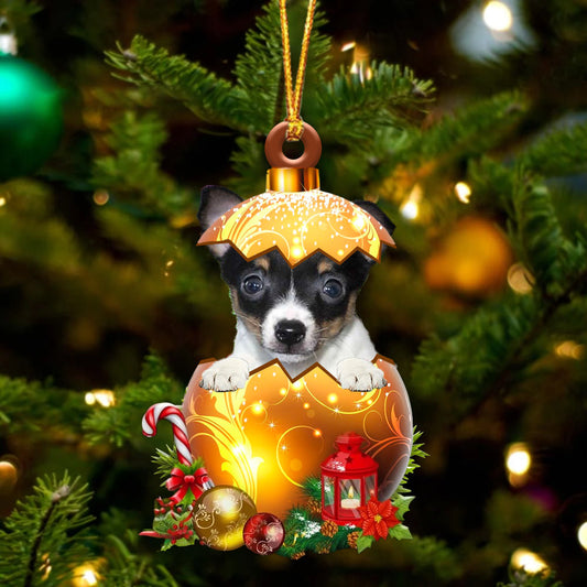 Toy Fox Terrier In Golden Egg Christmas Ornament - Best gifts your whole family