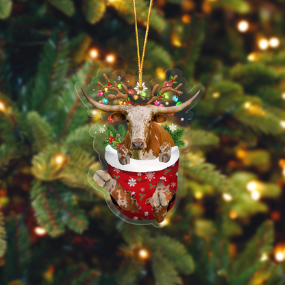 Tx Longhorn In Pocket Acrylic Ornament, Farm Christmas Ornament - Best gifts your whole family