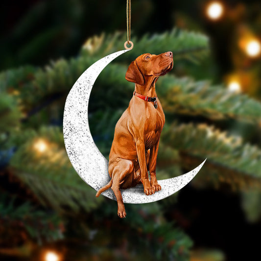 Vizsla Sit On The Moon Two Sided Ornament Dog Hanging Christmas Ornament - Best gifts your whole family