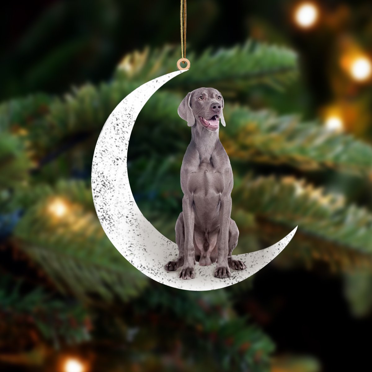 Weimaraner 2-Sit On The Moon-Two Sided Ornament - Best gifts your whole family