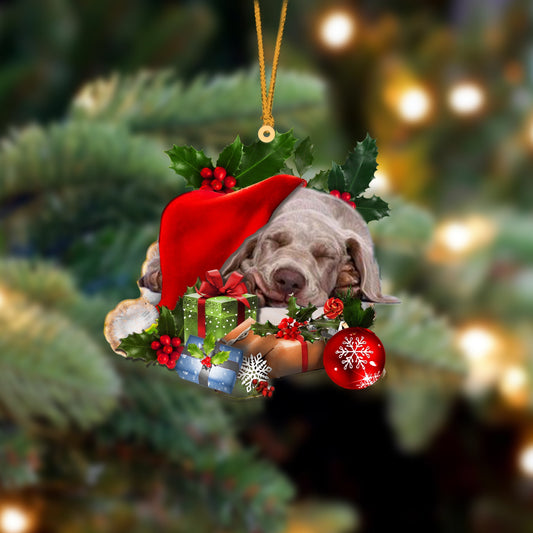 Weimaraner-Sleeping In Hat Two Sides Ornament Dog Sleeping Ornament - Best gifts your whole family
