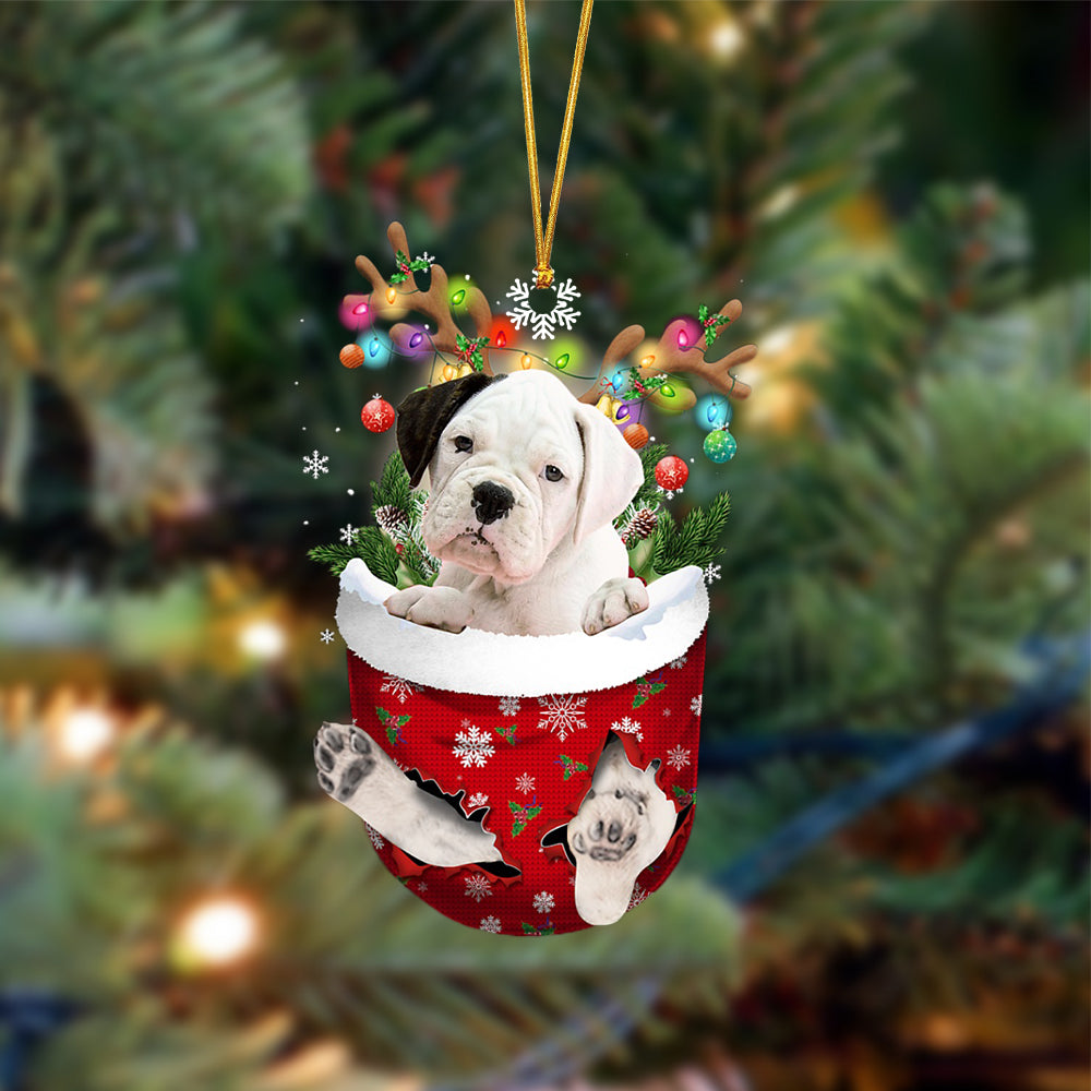 White Boxer-In Christmas Pocket Two Sides Ornament, Christmas Dog Hanging Ornament - Best gifts your whole family