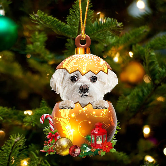 WHITE Maltese In Golden Egg Christmas Ornament - Best gifts your whole family